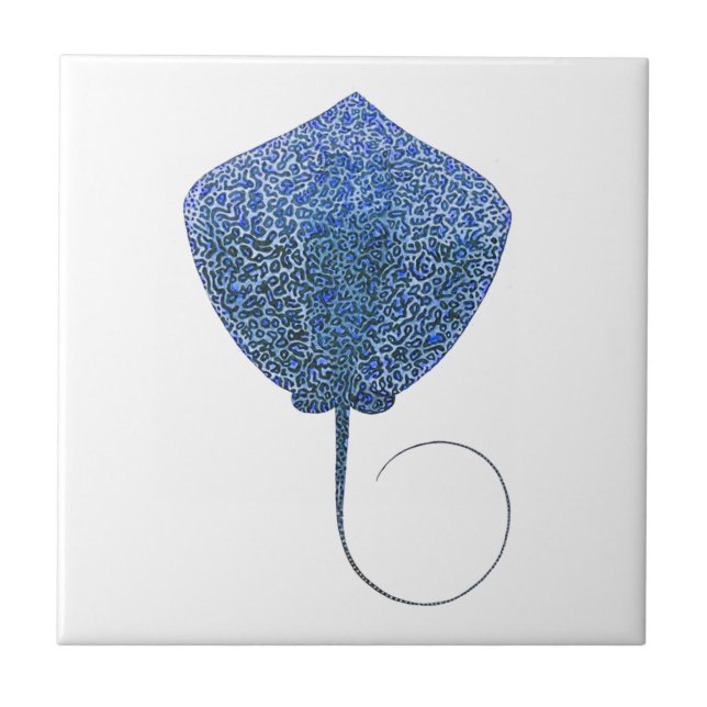 Azulejo De Cerâmica O grande abismo (Frente)