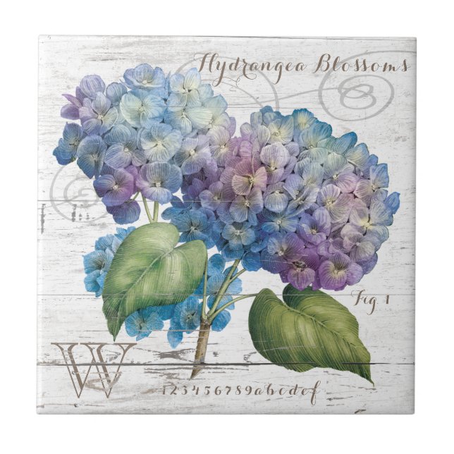 Azulejo De Cerâmica O Hydrangea floresce monograma (Frente)