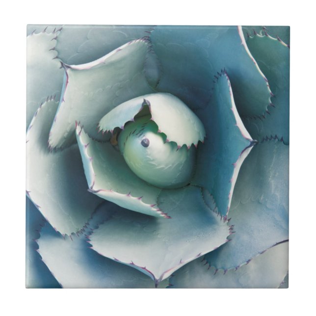 Azulejo De Cerâmica O Jardim Botânico de Huntington (Frente)