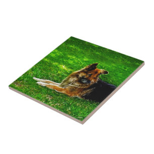 Azulejo De Cerâmica O melhor amigo #1 do homem