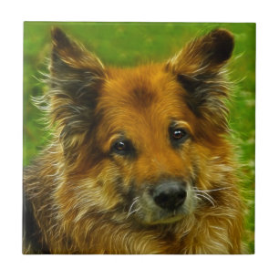 Azulejo De Cerâmica O melhor amigo #2 do homem