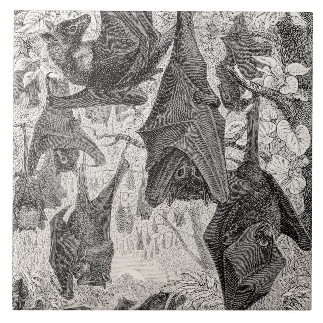 Azulejo De Cerâmica O modelo retro do bastão do Fox de vôo dos 1800s (Frente)