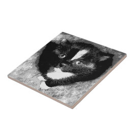 Azulejo De Cerâmica O Observador Silencioso