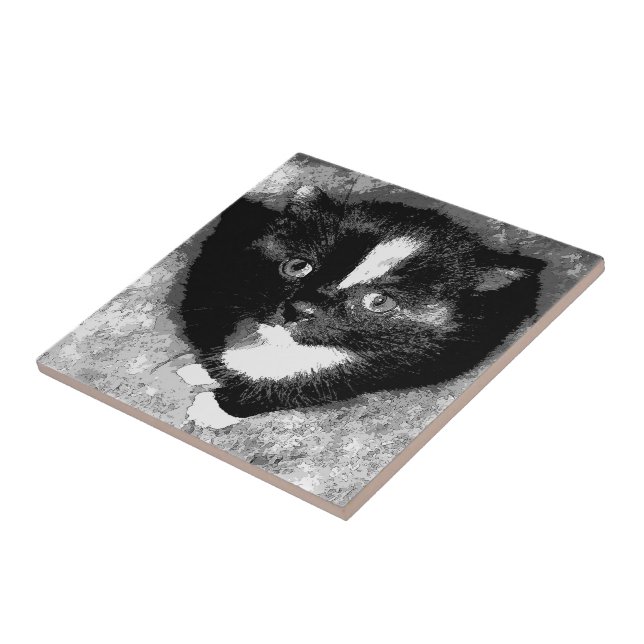 Azulejo De Cerâmica O Observador Silencioso (Lateral)