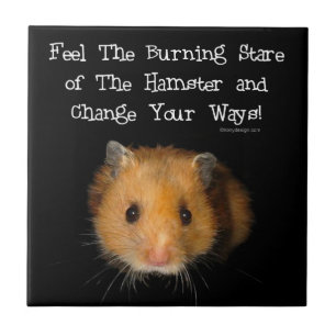 Azulejo De Cerâmica O olhar fixo do hamster