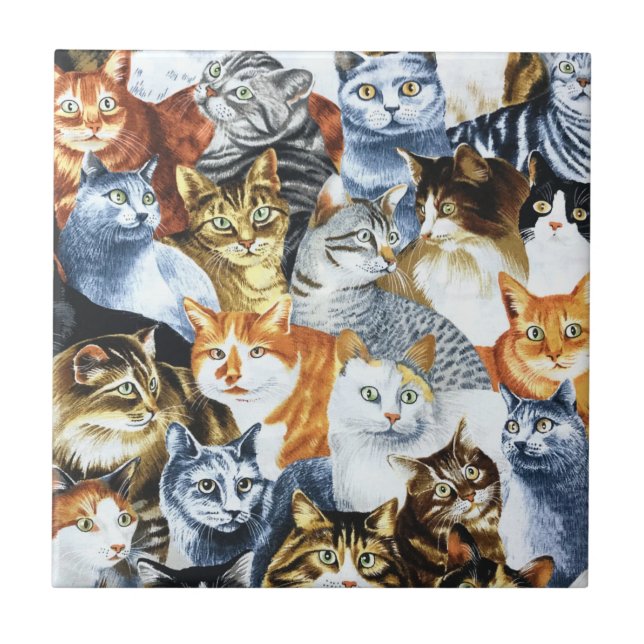 Azulejo De Cerâmica O Palhaço dos GATOS (Frente)
