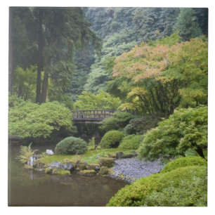 Azulejo De Cerâmica O patamar de rolagem com a ponte de lua