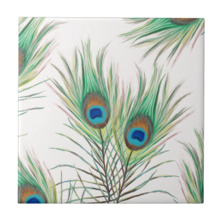 Azulejo De Cerâmica O pavão original empluma-se o teste padrão