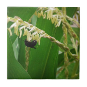 Azulejo De Cerâmica O pólen de milho é alegre para as abelhas hoje.