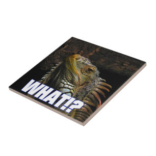 Azulejo De Cerâmica O quê? Iguana