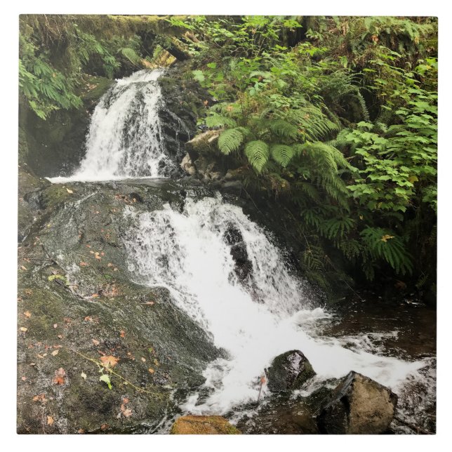 Azulejo De Cerâmica O Shepperd's Dell Cai, OU (Frente)