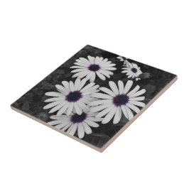 Azulejo De Cerâmica O Sutil Contraste da Natureza