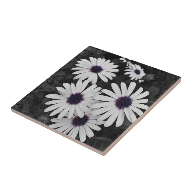 Azulejo De Cerâmica O Sutil Contraste da Natureza (Lateral)