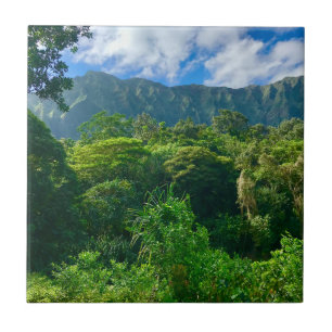 Azulejo De Cerâmica Oahu, Floresta Rainha do Havaí