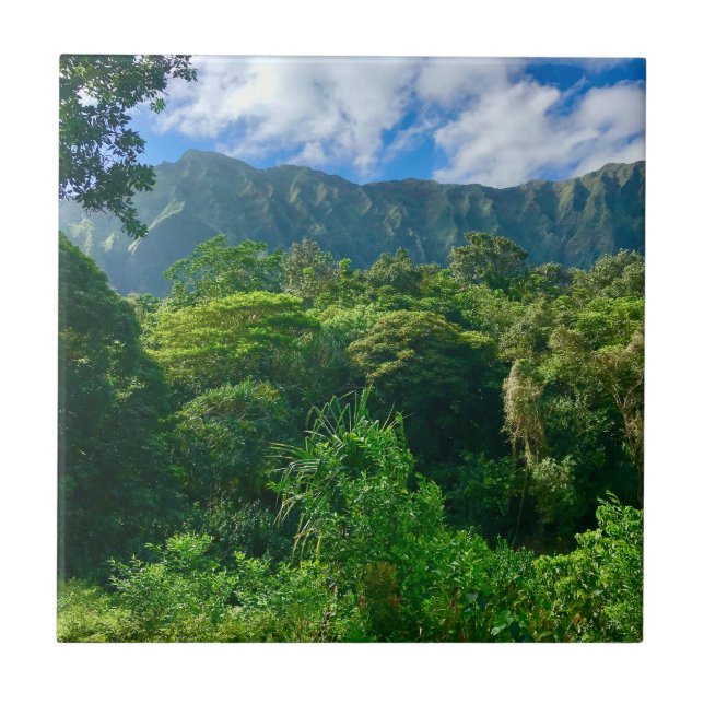 Azulejo De Cerâmica Oahu, Floresta Rainha do Havaí (Frente)