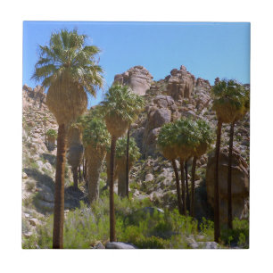 Azulejo De Cerâmica Oásis Lost Palms I no Parque Nacional Joshua Tree