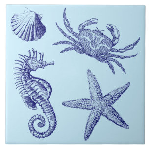 Azulejo De Cerâmica Ocean Beach Seacavalo Starfish Crab & Shell Patter