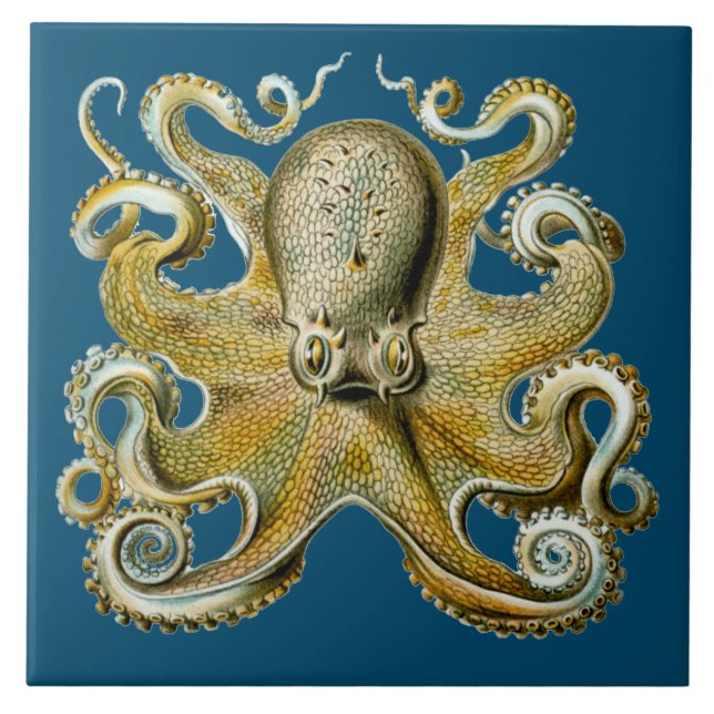 Azulejo De Cerâmica Octopus (Frente)