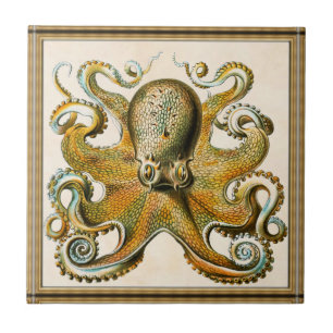 Azulejo De Cerâmica Octopus