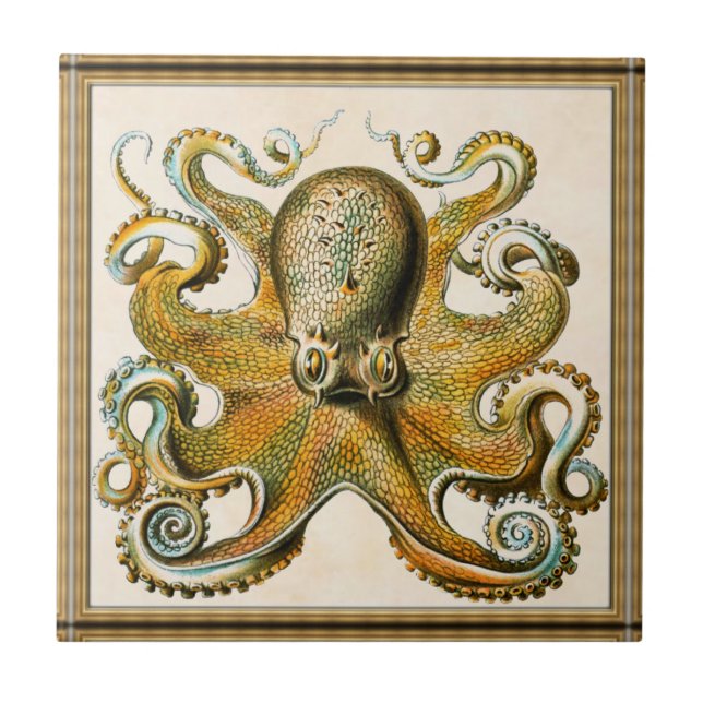 Azulejo De Cerâmica Octopus (Frente)