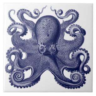 Azulejo De Cerâmica Octopus Azul e Branco