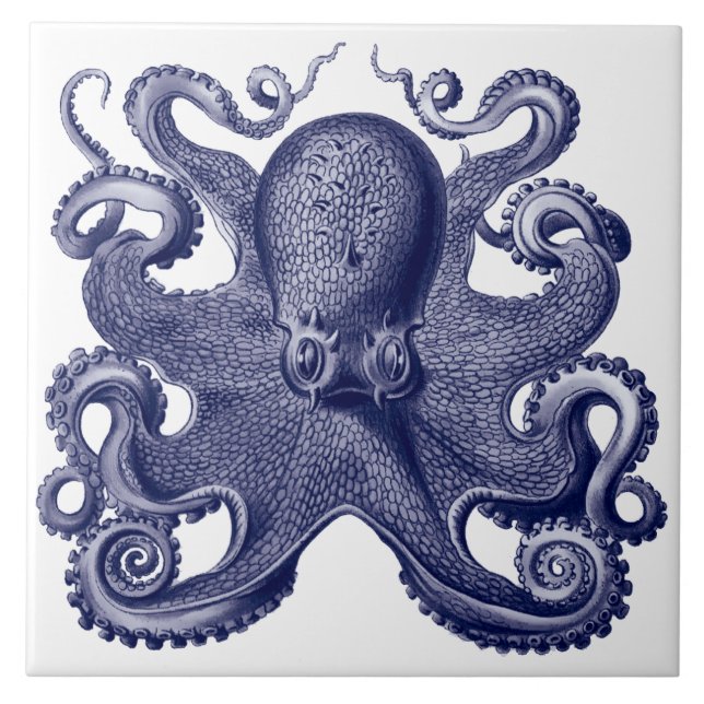 Azulejo De Cerâmica Octopus Azul e Branco (Frente)