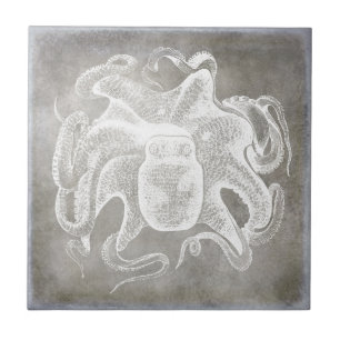 Azulejo De Cerâmica Octopus Silver Pewter Costeiro Neutro