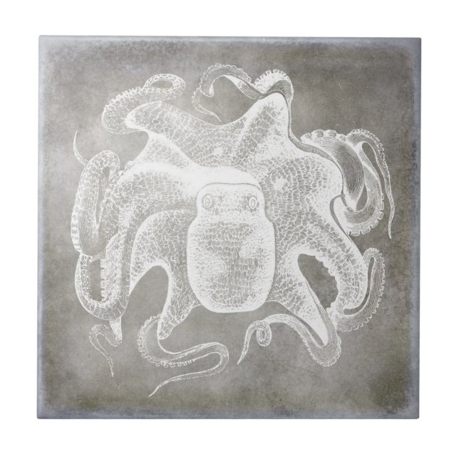 Azulejo De Cerâmica Octopus Silver Pewter Costeiro Neutro (Frente)