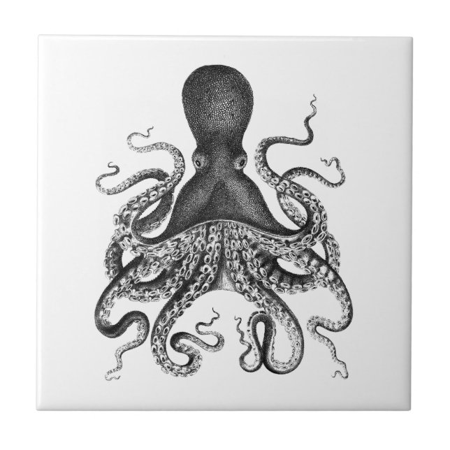 Azulejo De Cerâmica Octopus Vintage (Frente)