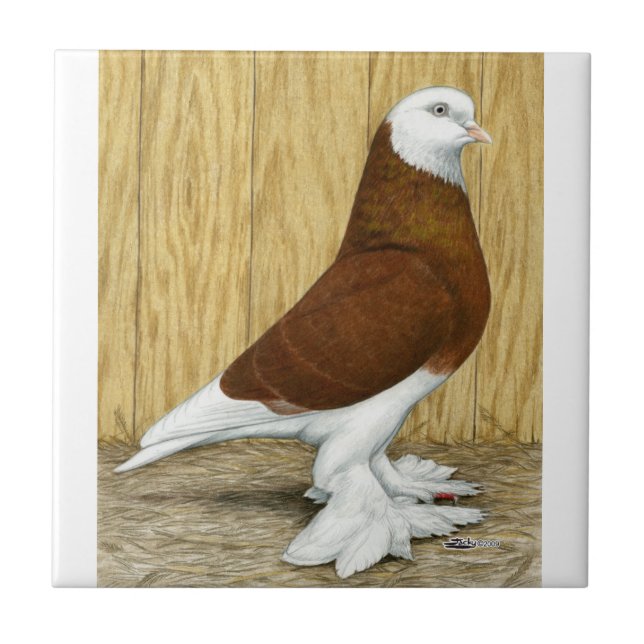 Azulejo De Cerâmica Oeste da Inglaterra Tumbler Red Baldhead (Frente)