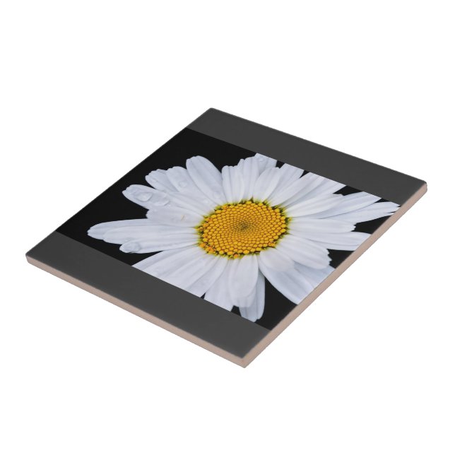 Azulejo De Cerâmica oferta (Lateral)