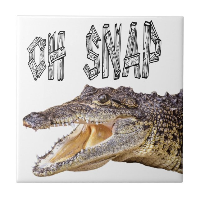 Azulejo De Cerâmica OH SNAP - Gator Irritado (Frente)