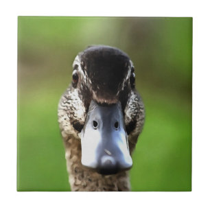 Azulejo De Cerâmica Olá Ducky Quirky Duck Portrait