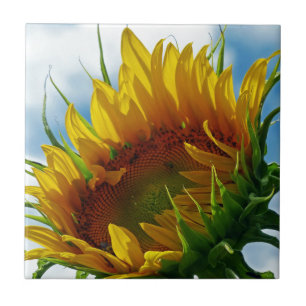 Azulejo De Cerâmica Olhando para o Sol