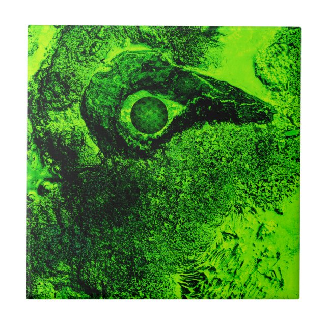 Azulejo De Cerâmica olhando para o verde (Frente)