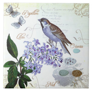 Azulejo De Cerâmica Olhar floral do vintage da colagem do pássaro