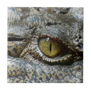 Azulejo De Cerâmica olho de crocodilo face animal personalizar diy
