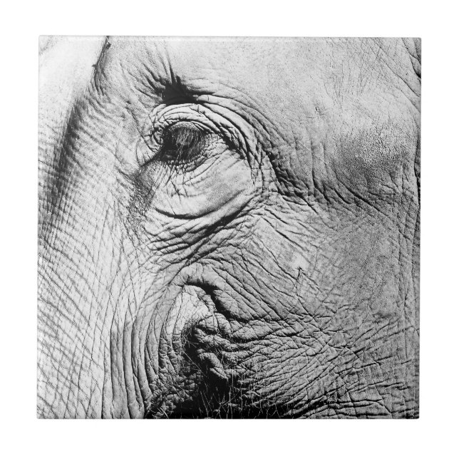 Azulejo De Cerâmica Olho dos elefantes, 2017 (Frente)