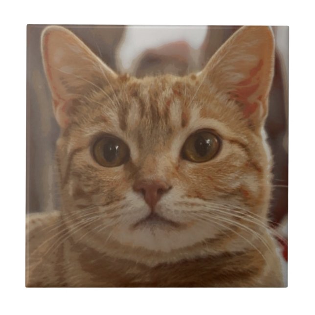 Azulejo De Cerâmica Olhos castanhos de gengibre  (Frente)