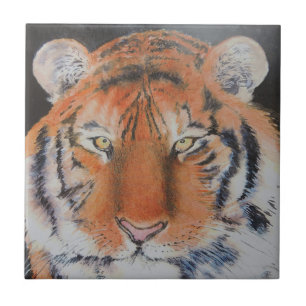 Azulejo De Cerâmica Olhos do tigre