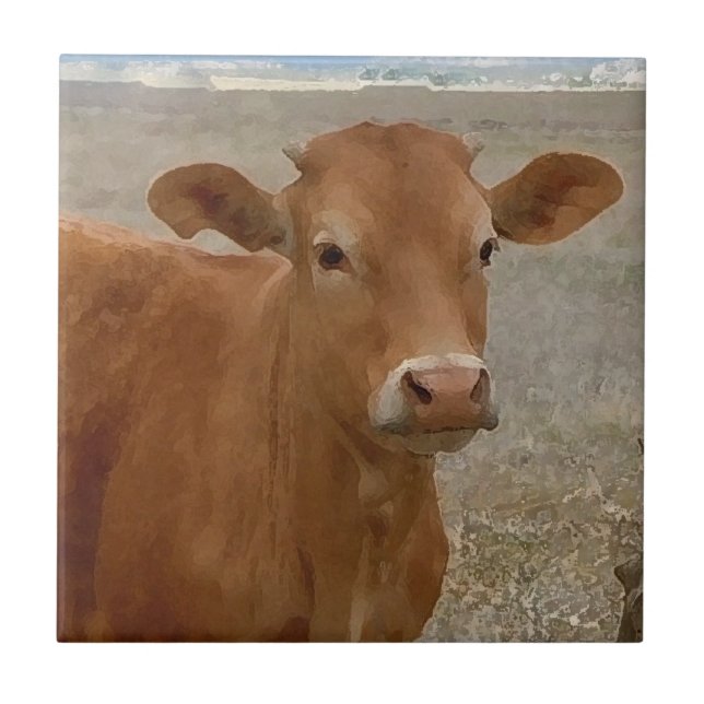 Azulejo De Cerâmica Olhos grandes da vaca - gado vermelho (Frente)
