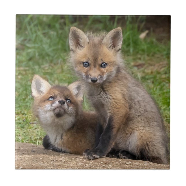Azulejo De Cerâmica Olhos que Amam (Frente)