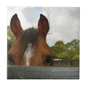 Azulejo De Cerâmica olhos sobre a cabeça de cavalo da cerca