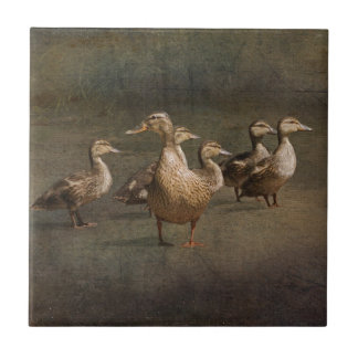 Azulejo De Cerâmica Onde agora?