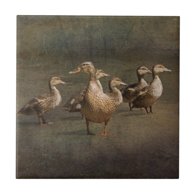 Azulejo De Cerâmica Onde agora? (Frente)