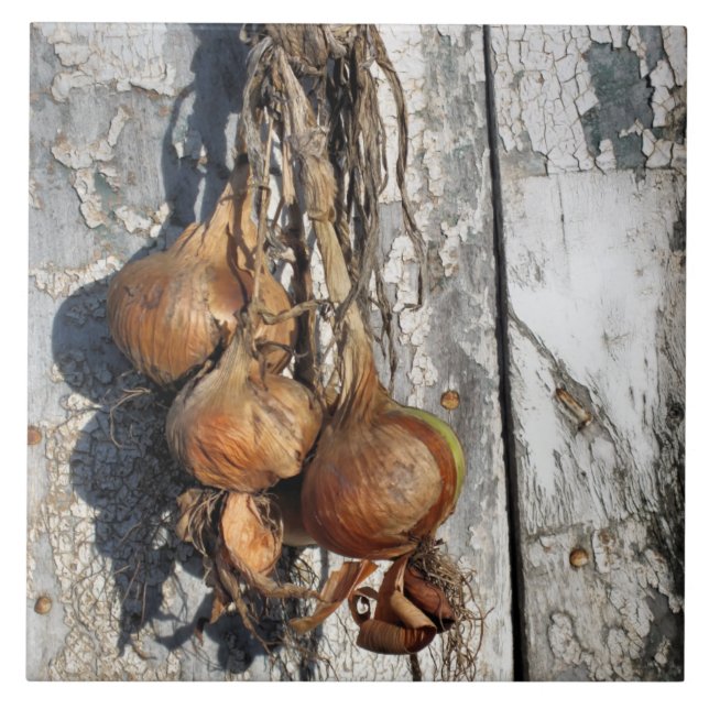 AZULEJO DE CERÂMICA  ONIÕES (Frente)