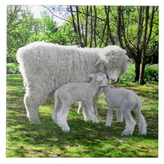 Azulejo De Cerâmica "Oona e suas gêmeas"