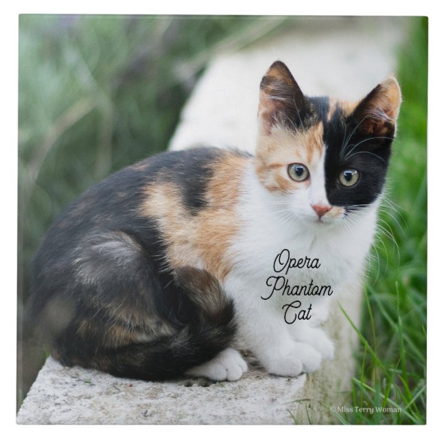 Azulejo De Cerâmica Ópera - Fantasma (Frente)