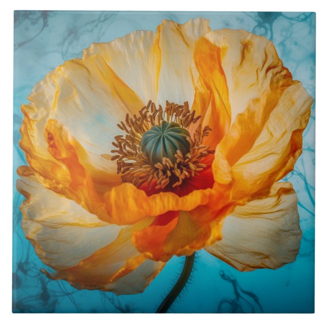 Azulejo De Cerâmica Orange Beauty (Frente)