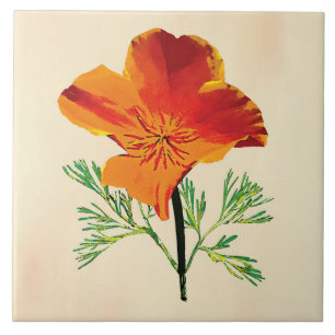 Azulejo De Cerâmica Orange California Poppy